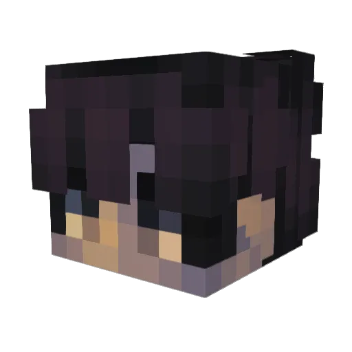 Pars1val27 Minecraft avatar head, 3D render