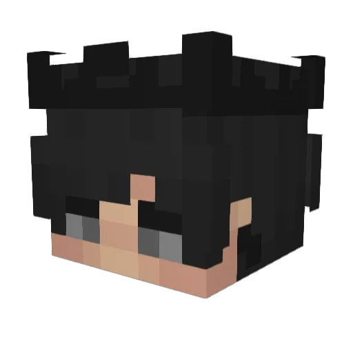 ParsaGhnti Minecraft avatar head, 3D render