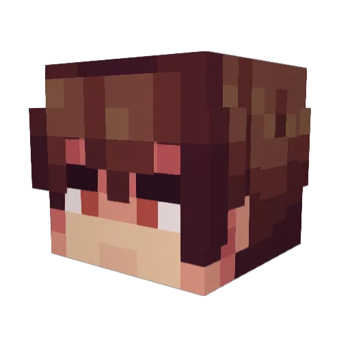 Parsaboss Minecraft avatar head, 3D render