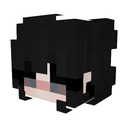 Parsifal_lj Minecraft avatar head, 3D render