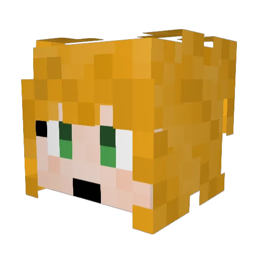 Parsnips16 Minecraft avatar head, 3D render