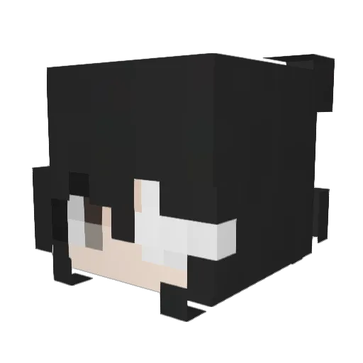 Parst Minecraft avatar head, 3D render