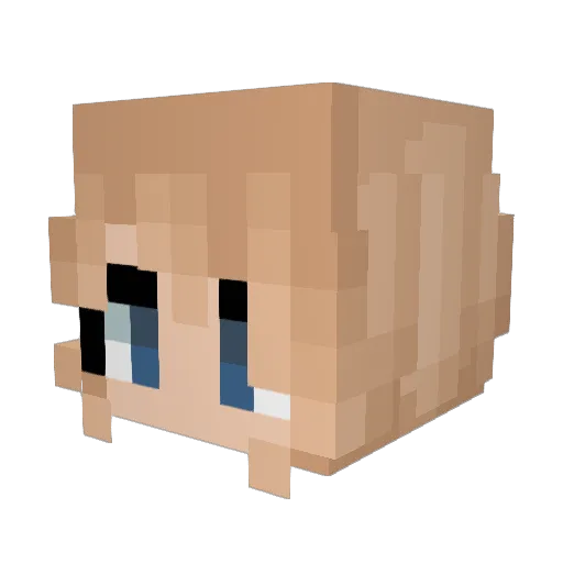 ParticleMoon31 Minecraft avatar head, 3D render