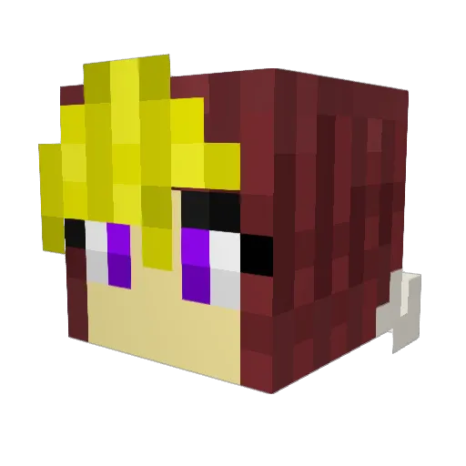 PartonaxX Minecraft avatar head, 3D render