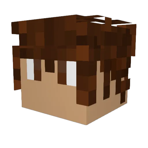 Partry_ Minecraft avatar head, 3D render
