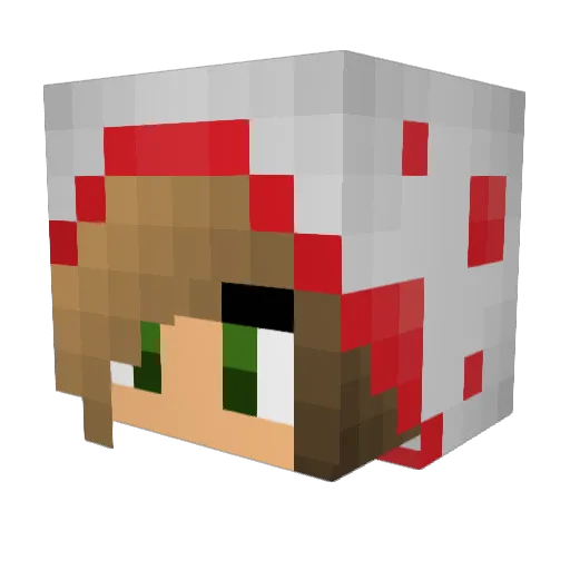 PartyCake18 Minecraft avatar head, 3D render
