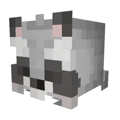 PartyCloud77 Minecraft avatar head, 3D render