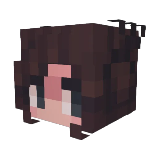 PartyFreak4Ever Minecraft avatar head, 3D render