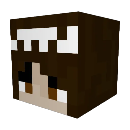 PartyGandalf Minecraft avatar head, 3D render