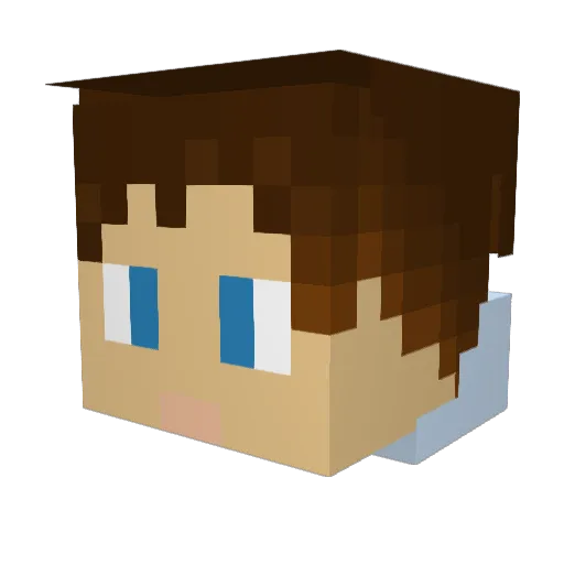 PartyLlama Minecraft avatar head, 3D render