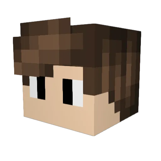 PartyMeForVIP Minecraft avatar head, 3D render