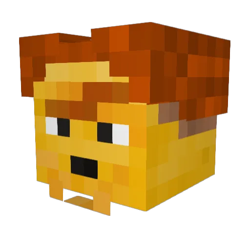 PartyMeatballs Minecraft avatar head, 3D render