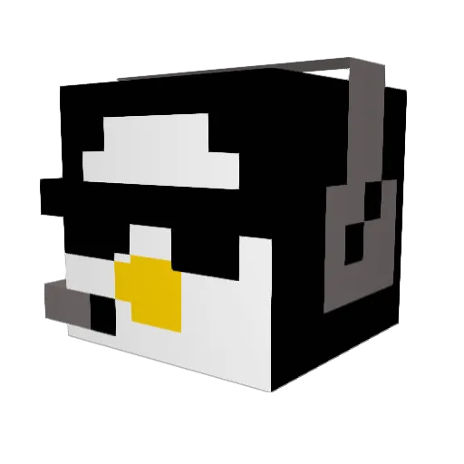 PartyPenguin77 Minecraft avatar head, 3D render