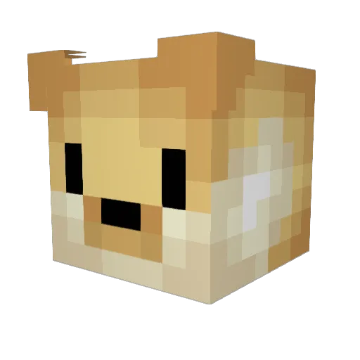 PartyPizza22 Minecraft avatar head, 3D render