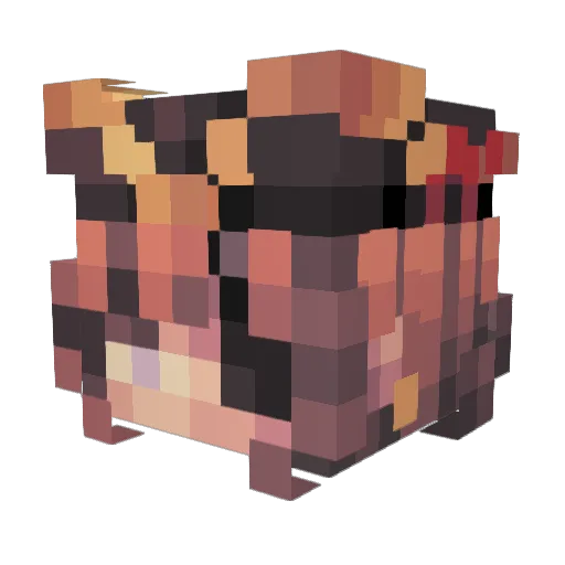 PartyPooperLucia Minecraft avatar head, 3D render
