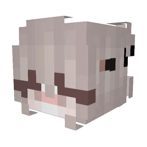 PartySheep29 Minecraft avatar head, 3D render