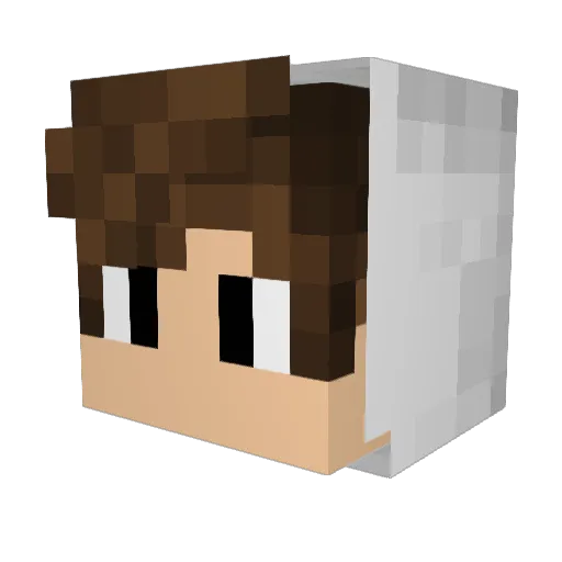 Party_Dawg Minecraft avatar head, 3D render