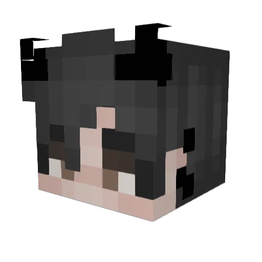 Party_Panda1 Minecraft avatar head, 3D render