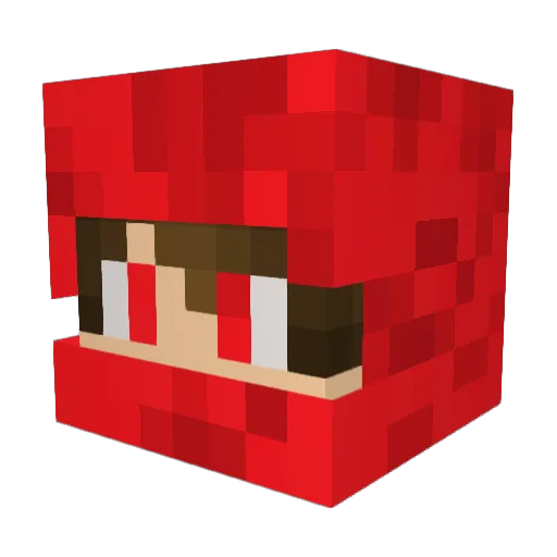 Party_axe Minecraft avatar head, 3D render