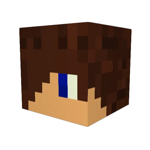 Partycreeper01 Minecraft avatar head, 3D render