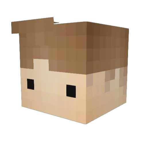 Partyfreak Minecraft avatar head, 3D render