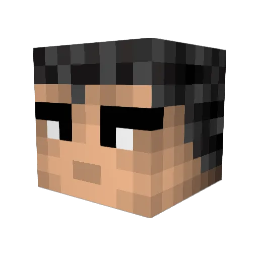 Partysane Minecraft avatar head, 3D render