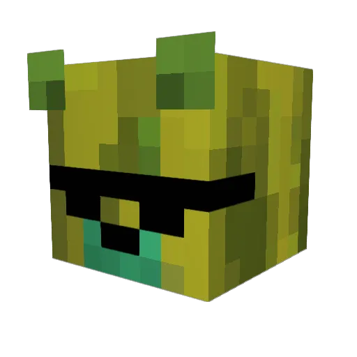Partyys Minecraft avatar head, 3D render
