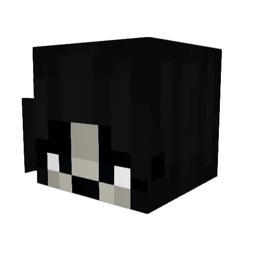Parum_Mori Minecraft avatar head, 3D render