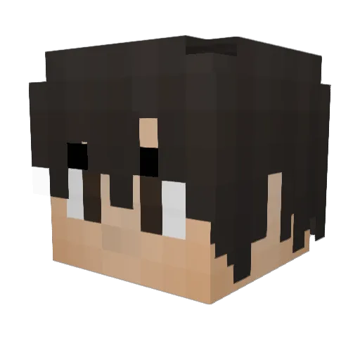 ParziCam Minecraft avatar head, 3D render