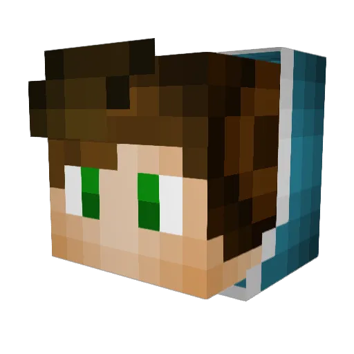 Parzival110 Minecraft avatar head, 3D render