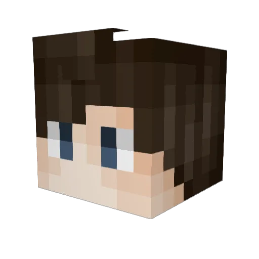 Parzival901 Minecraft avatar head, 3D render