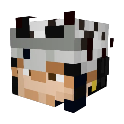Parzival_099 Minecraft avatar head, 3D render