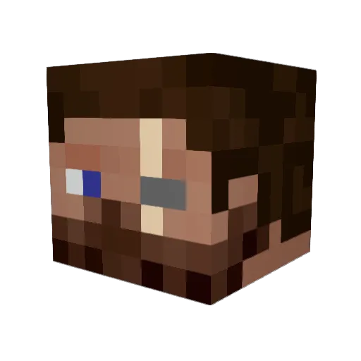 Parzival_501 Minecraft avatar head, 3D render