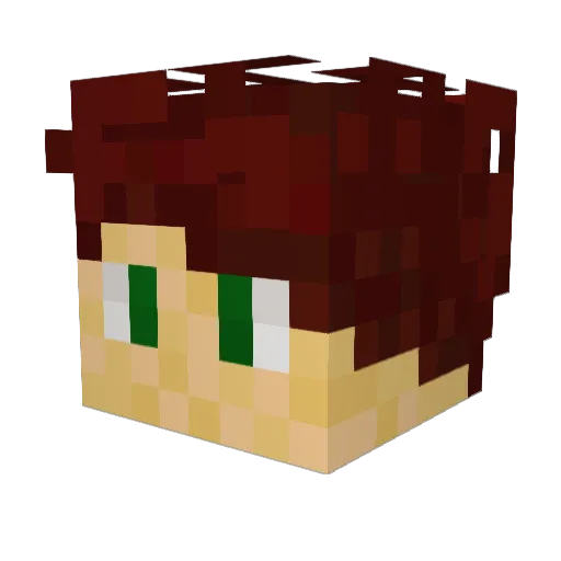 Pas0904 Minecraft avatar head, 3D render