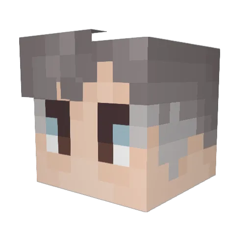 Pasa91 Minecraft avatar head, 3D render