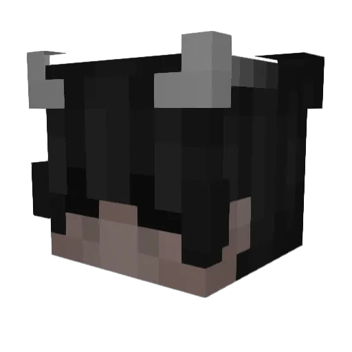 Pasaga Minecraft avatar head, 3D render