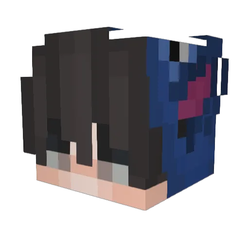 Pasalone Minecraft avatar head, 3D render