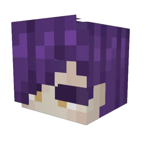 Pasans Minecraft avatar head, 3D render