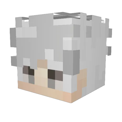 Pasbex_cx Minecraft avatar head, 3D render