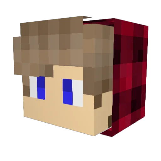 Pascal027 Minecraft avatar head, 3D render