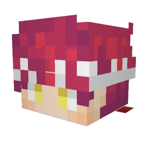 Pascal2002 Minecraft avatar head, 3D render