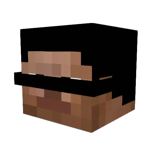 Pascal512 Minecraft avatar head, 3D render