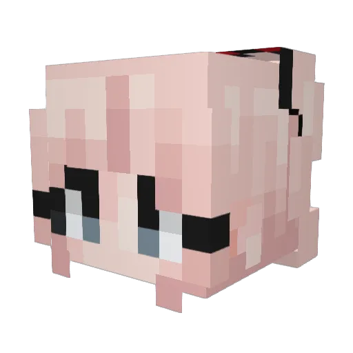 Pascal_345 Minecraft avatar head, 3D render