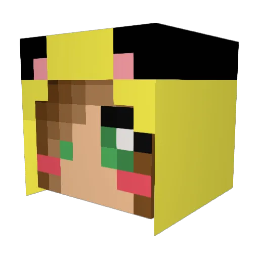 Pascal_Mini1 Minecraft avatar head, 3D render
