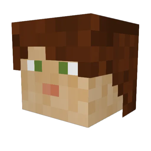 Pascal_VfB Minecraft avatar head, 3D render