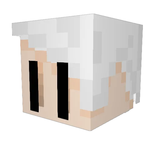 Pascalalalal Minecraft avatar head, 3D render