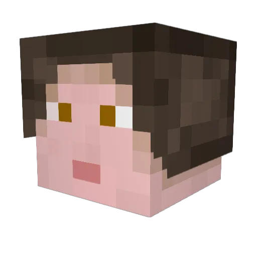Pasci222 Minecraft avatar head, 3D render