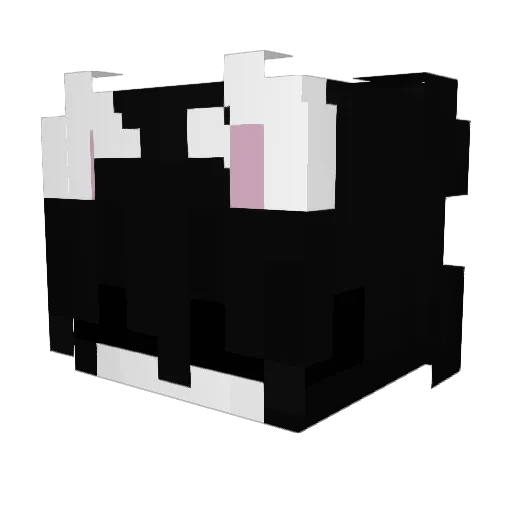 Pascs Minecraft avatar head, 3D render