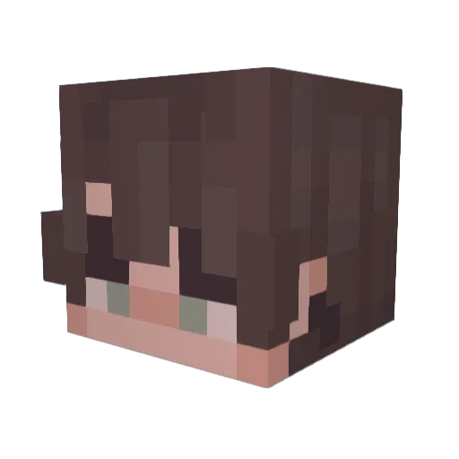 Pasen_ Minecraft avatar head, 3D render