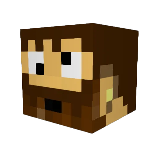 Pasfin Minecraft avatar head, 3D render